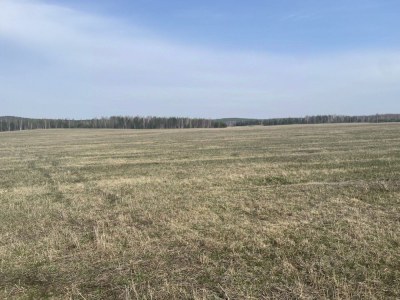Продажа земельного участка 5 000 м², Московская область, Дмитровский муниципальный округ, посёлок Никольское, 1Б