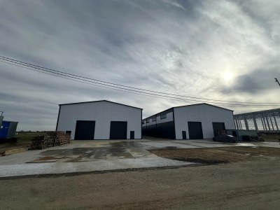 Продажа склада 2 533 м², Московская область, Раменский муниципальный округ, территория Промпарк Альфа, улица Омега, 9